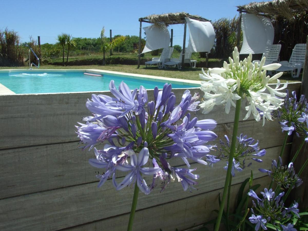 Apartamentos La Playa Piriápolis Buitenkant foto